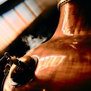 A Stillhouse Built with Purpose 