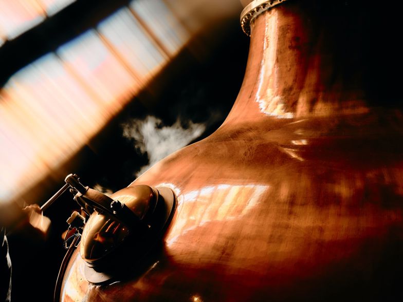 Large 02 02 26 DALMORE TEASER 2091